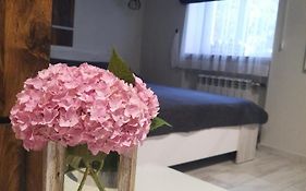 super apartment пр. Кирова (А.Поля) г.Днепр